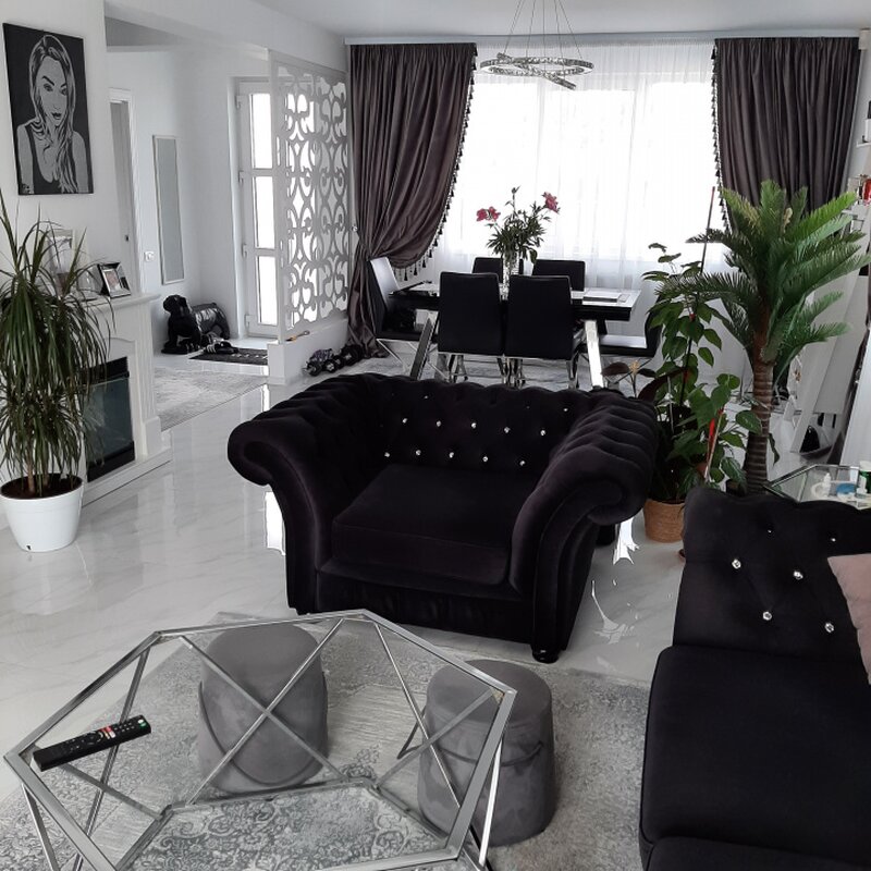 Domnesti, Ciutaci, complex Florilor, str. Craitei, Rondului, vila individuala